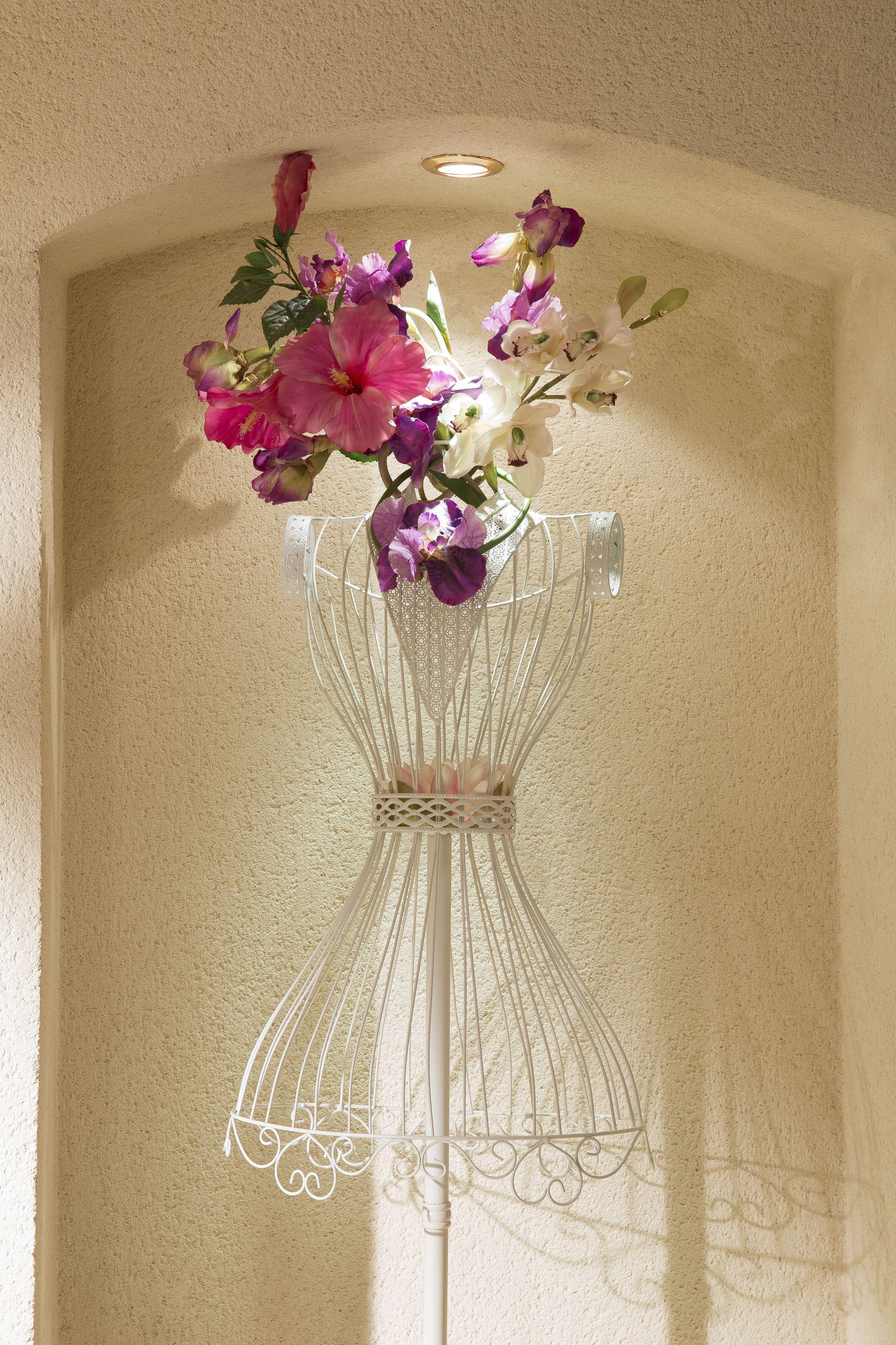 Western Anjou Lafayette Parigi